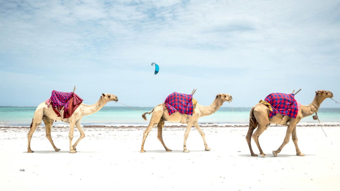 15 Day Kenya Golf Safari